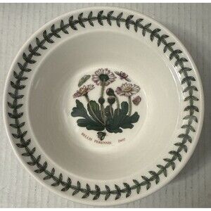 PORTMEIRION BOTANIC GARDEN 6.5" CEREAL SOUP BOWL DAISY Susan Williams Ellis 4